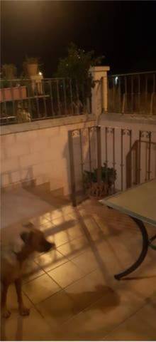 Apartamento en Alquiler en La Alcoraya