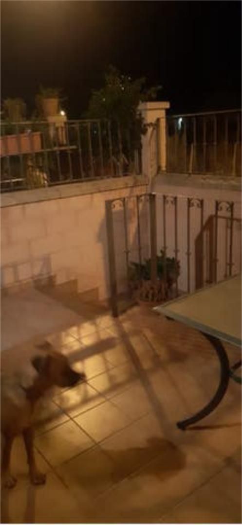 Wohnungen zur Miete in Alicante / Alacant