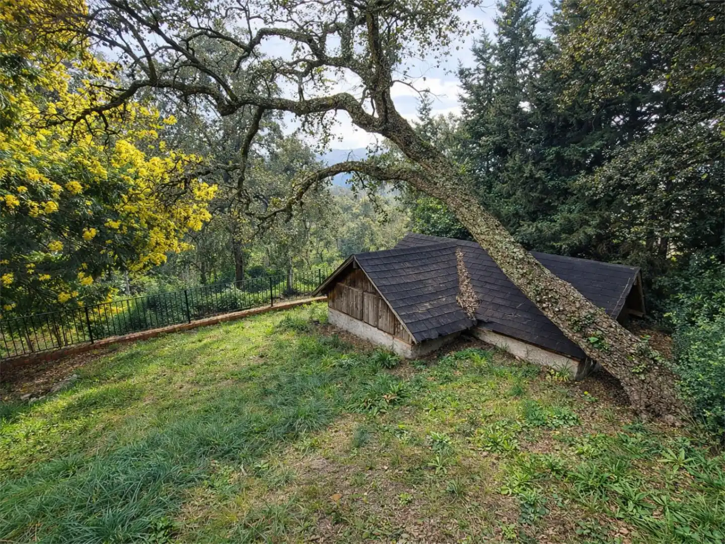 Piso en venta en Avinguda D'espanya, 5, Urbanitzacions del Nord Vista exterior de Piso en venta en Santa Cristina d'Aro con Terraza y Balcón
