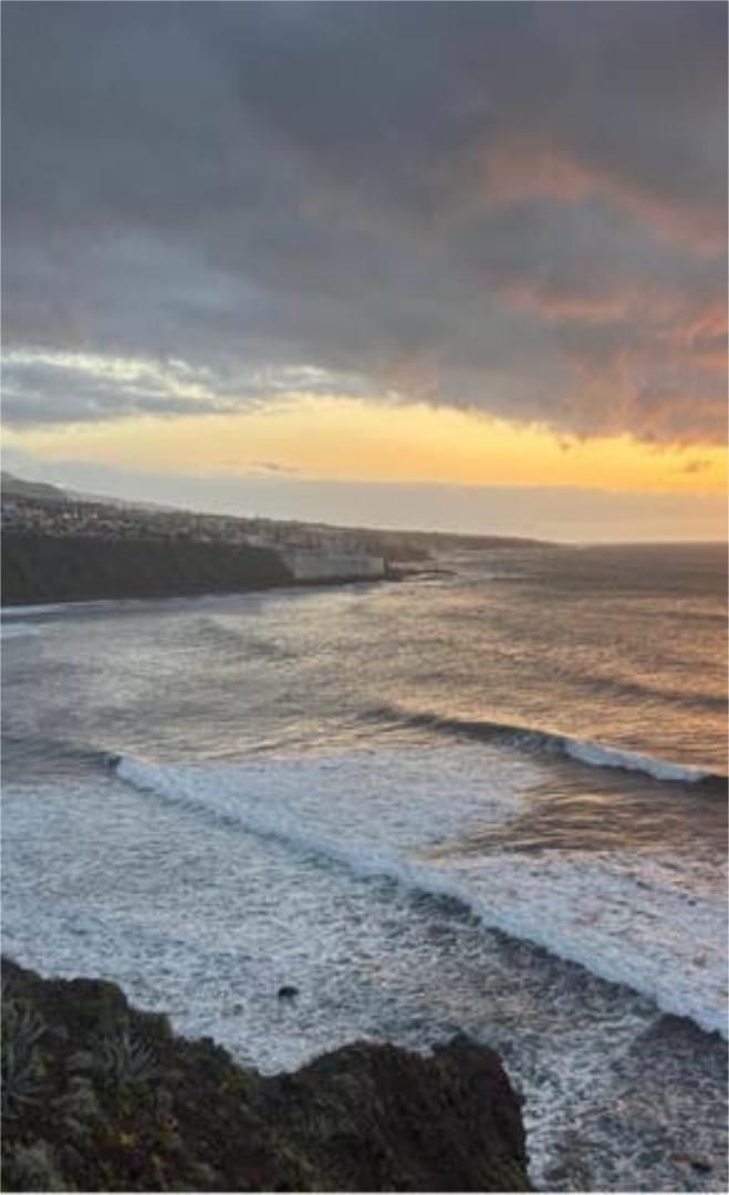 Exterior view of Single-family semi-detached for sale in San Cristóbal de la Laguna  with Private garden, Terrace and Storage room