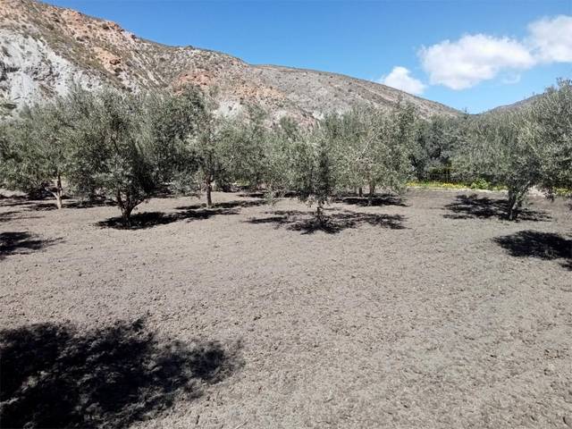 Terreno en Venta en Calle Grupo Escolar, 1 en Alboloduy