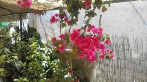 Foto 5 de Casa o xalet en venda a Calle de la Excma. Diputacion Provincial, 42, Zarcilla de Ramos, Lorca