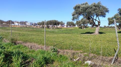 Photo 2 of Country homes for sale in Avenida Portus Balbus, 1, Villanueva Golf, Puerto Real