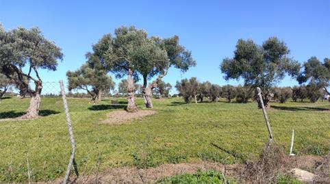 Photo 3 of Country homes for sale in Avenida Portus Balbus, 1, Villanueva Golf, Puerto Real