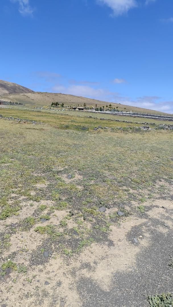 Grundstücke zum Verkauf in Tías