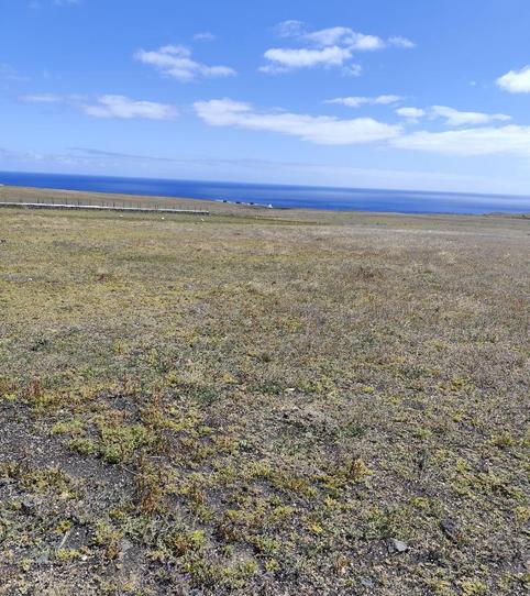 Photo 2 of Land for sale in Camino las Gavias, 2, Macher, Tías