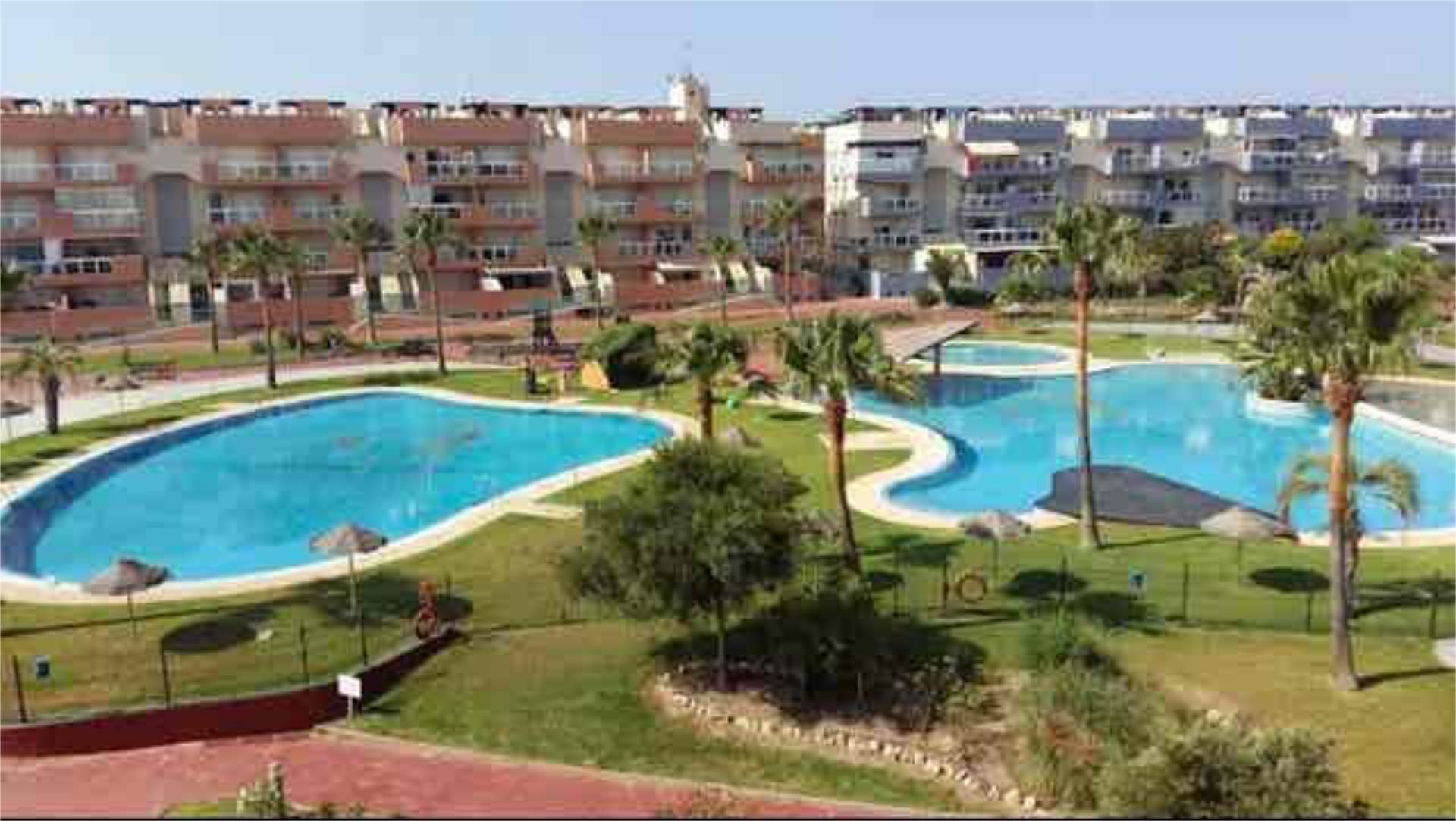 Swimming pool of Apartments for rent in El Ejido  with Private garden, Terrace and Swimming Pool