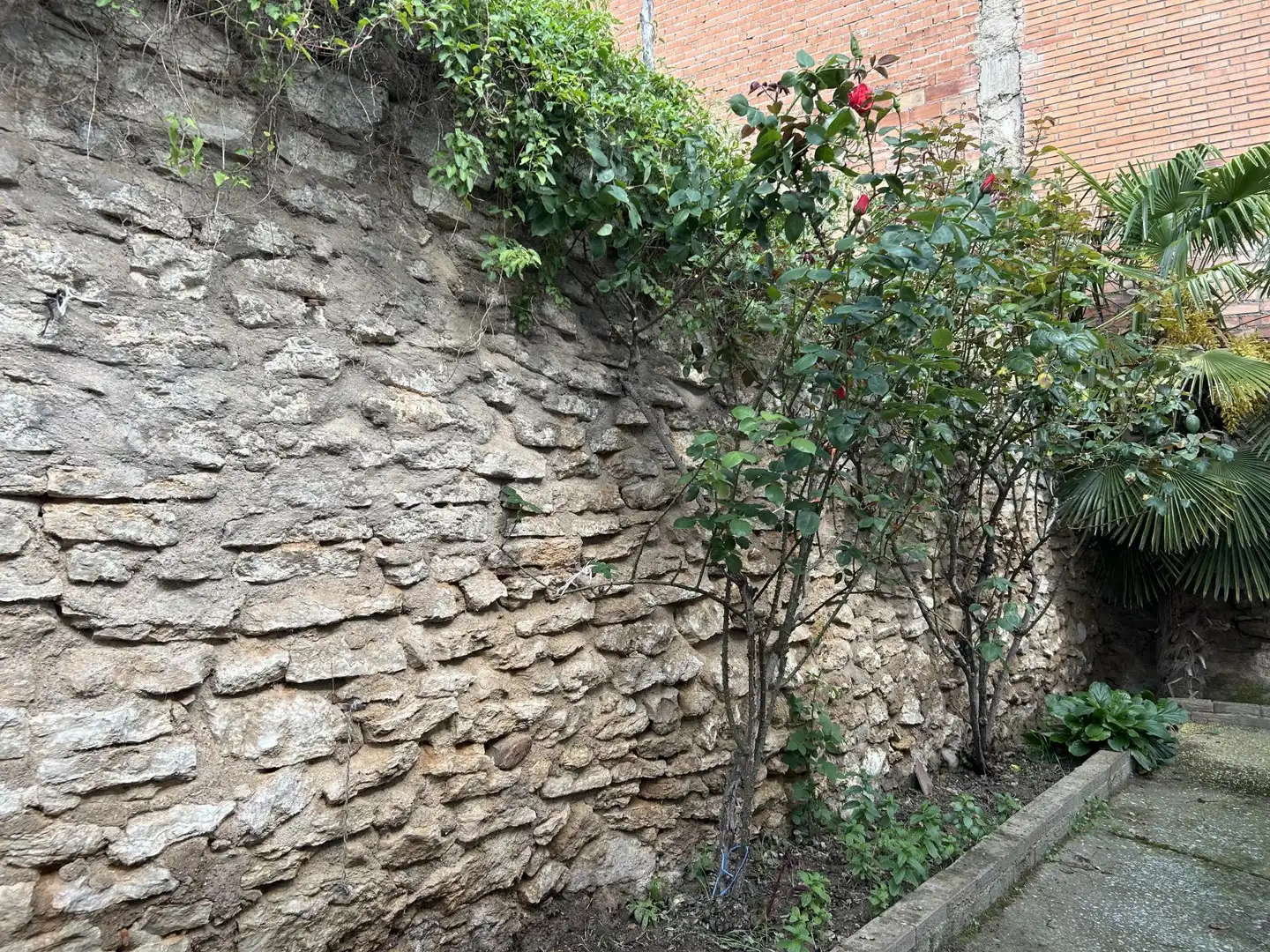 Vista exterior de Casa adosada en venta en Paracuellos de Jiloca con Jardín privado, Terraza y Amueblado