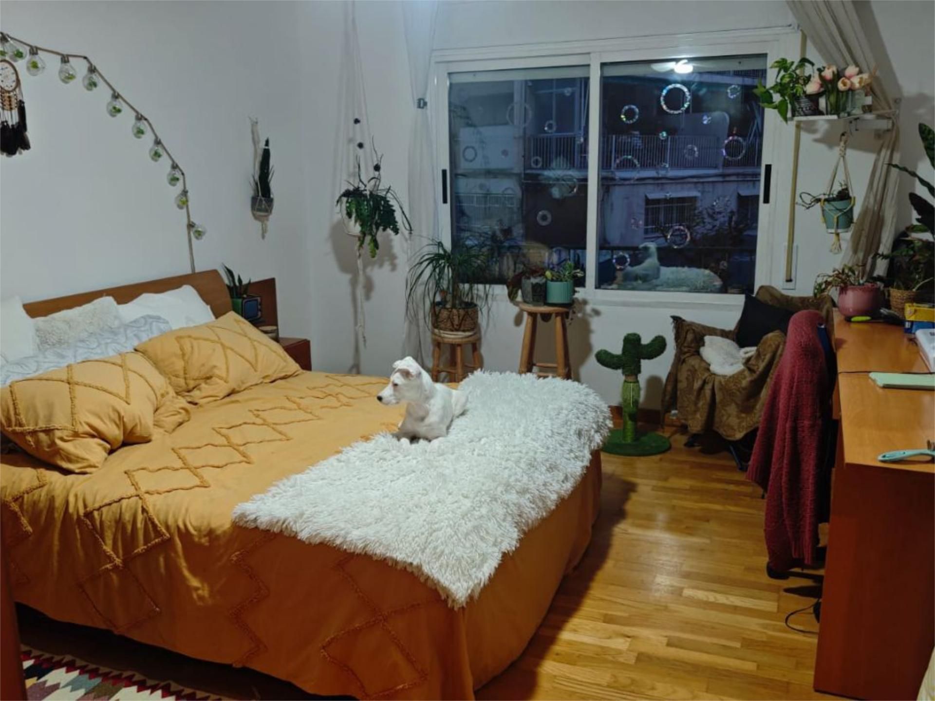 Habitación de Piso para compartir en  Tarragona Capital con Calefacción, Parquet y Amueblado