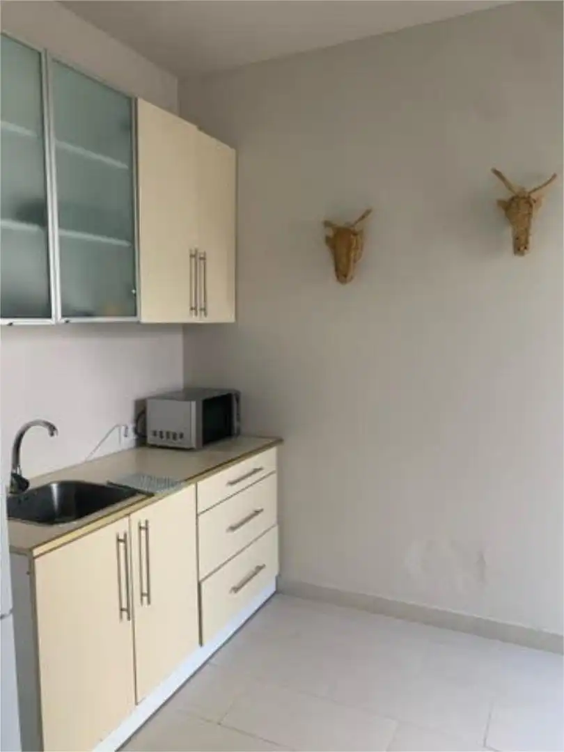 Cocina de Loft de alquiler en Valencina de la Concepción con Calefacción, Jardín privado y Terraza