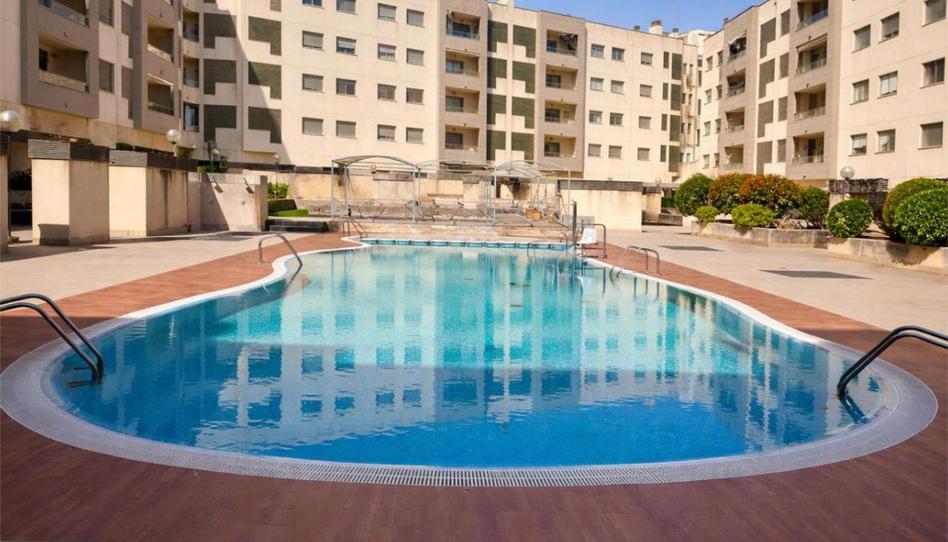 Piso de alquiler en Carrer de Pablo Iglesias, 113, L'Olivera, Palma de Mallorca - imagen 1 Foto 1 de Piso de alquiler en Carrer de Pablo Iglesias, 113, L'Olivera, Palma de Mallorca