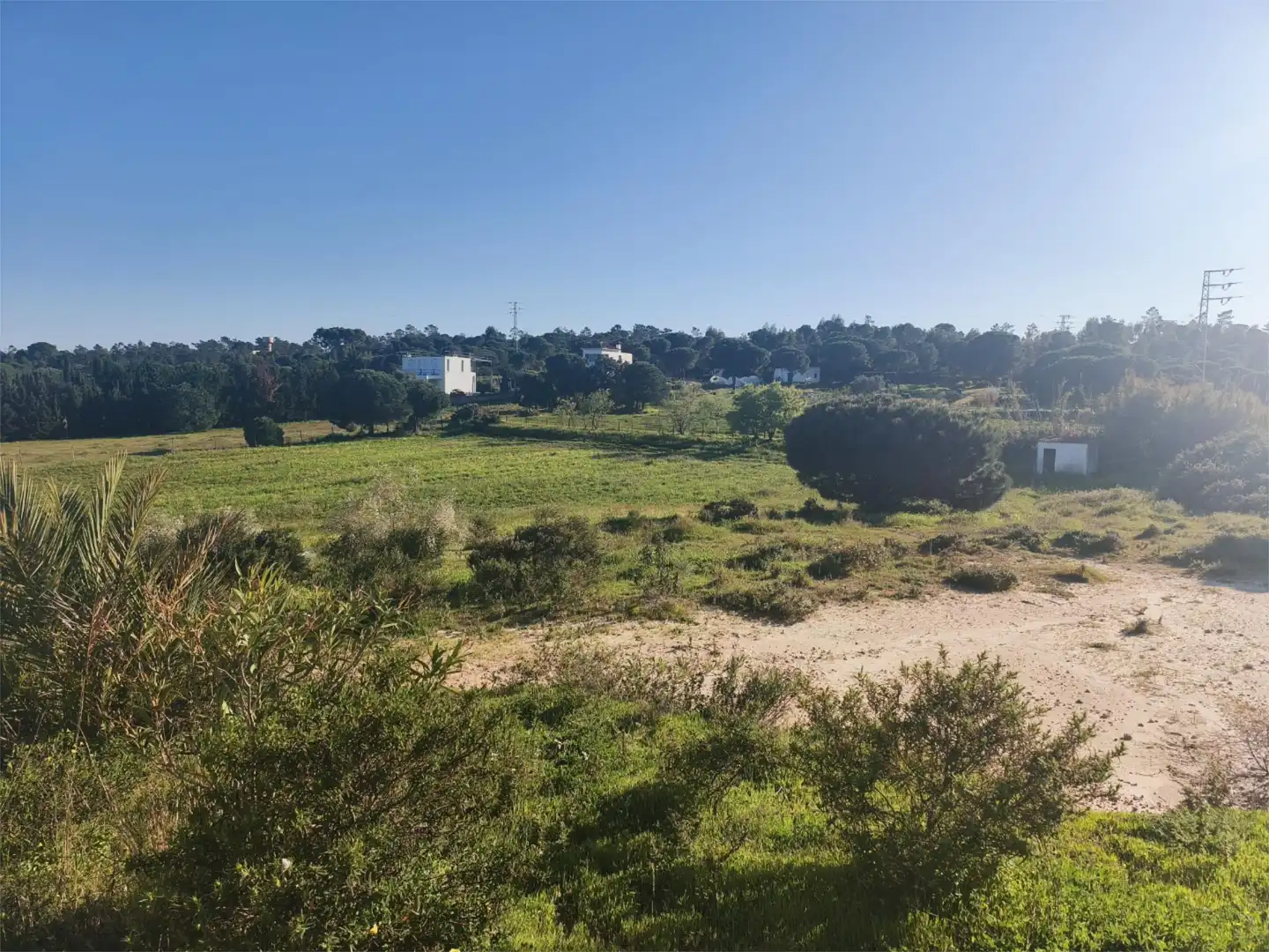 Finca rústica en venta en Lepe Finca rústica en venta en Lepe