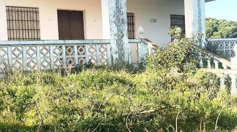 Foto 2 de Finca rústica en venta en Lepe, Huelva