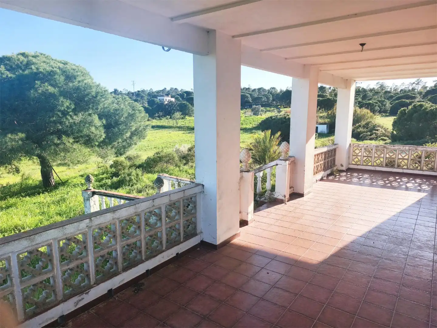Finca rústica en venta en Lepe Terraza de Finca rústica en venta en Lepe