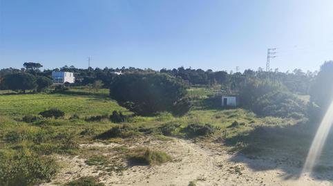 Foto 3 de Finca rústica en venta en Lepe, Huelva