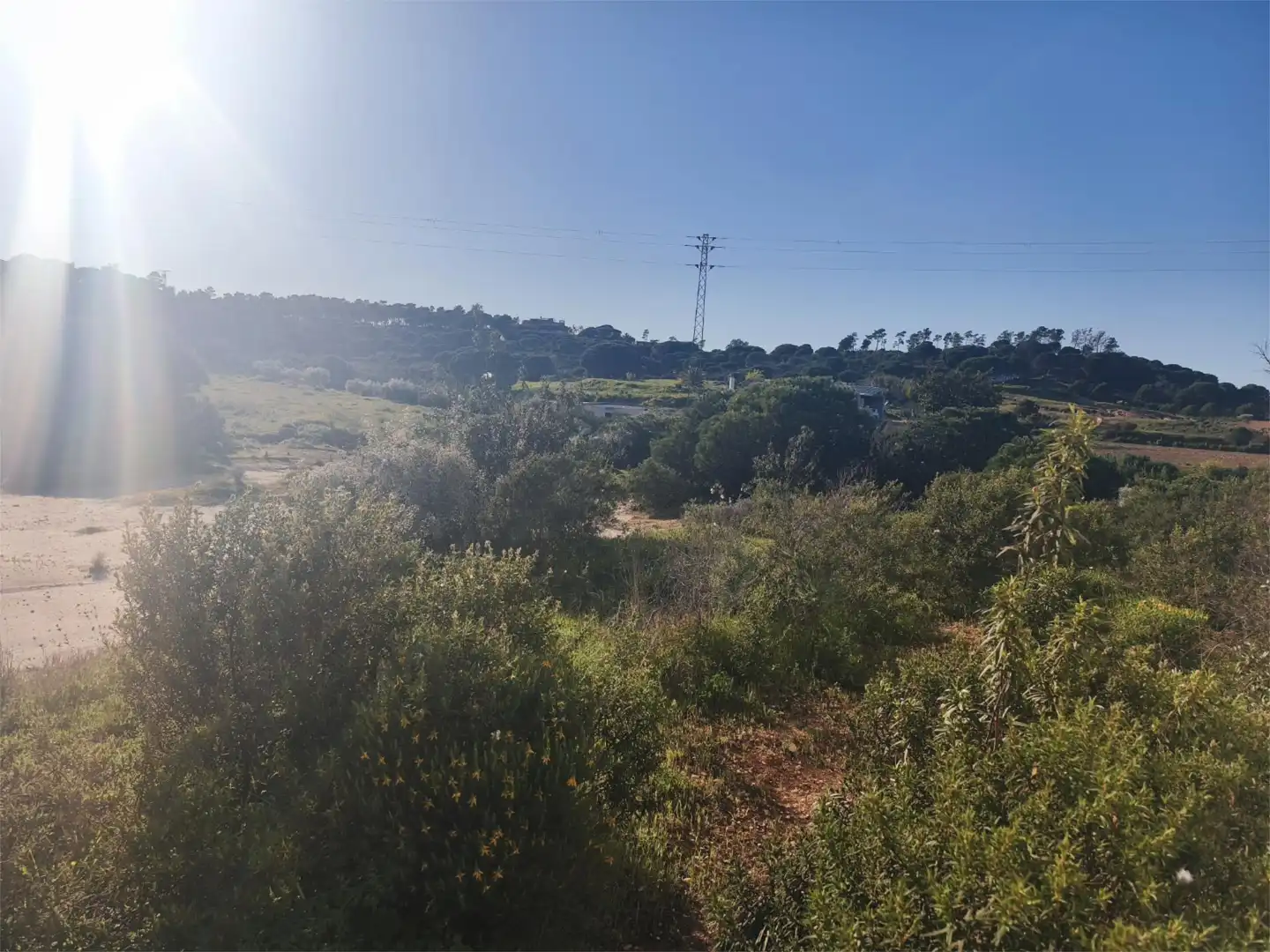 Finca rústica en venta en Lepe Finca rústica en venta en Lepe
