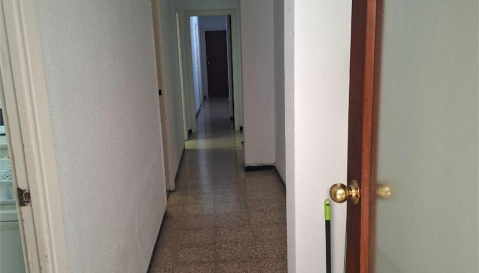 Piso para compartir en Calle Luis Montoto, 81, La Calzada - La Florida, Sevilla Capital - imagen 1 Foto 1 de Piso para compartir en Calle Luis Montoto, 81, La Calzada - La Florida, Sevilla Capital