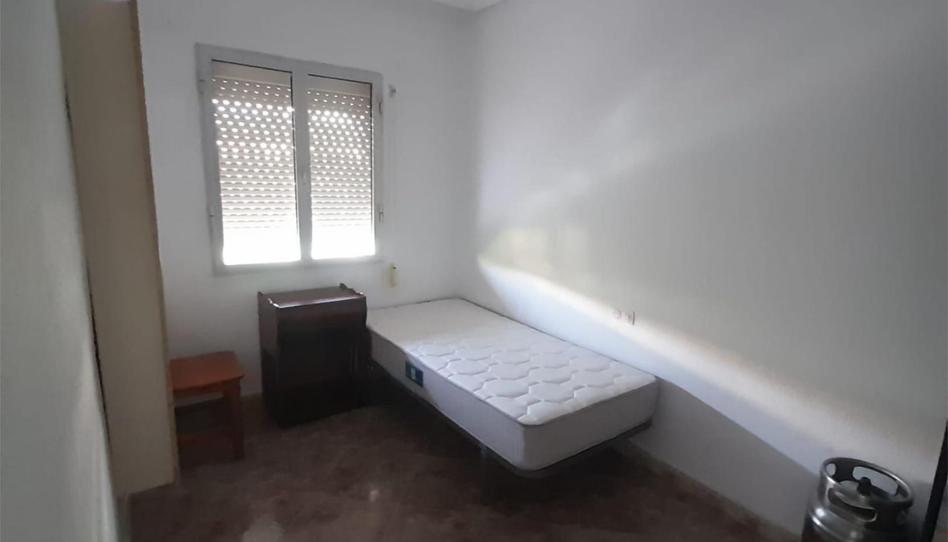 Flat for rent in Avenida Extremadura, 39, Santiponce, Sevilla - image 1 Photo 1 of Flat for rent in Avenida Extremadura, 39, Santiponce, Sevilla