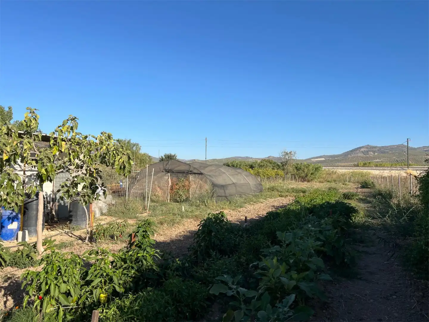 Finca rústica en venta en Calle Alfredo Nobel, 31, Huétor Tájar Finca rústica en venta en Huétor Tájar con Jardín privado, Terraza y Piscina