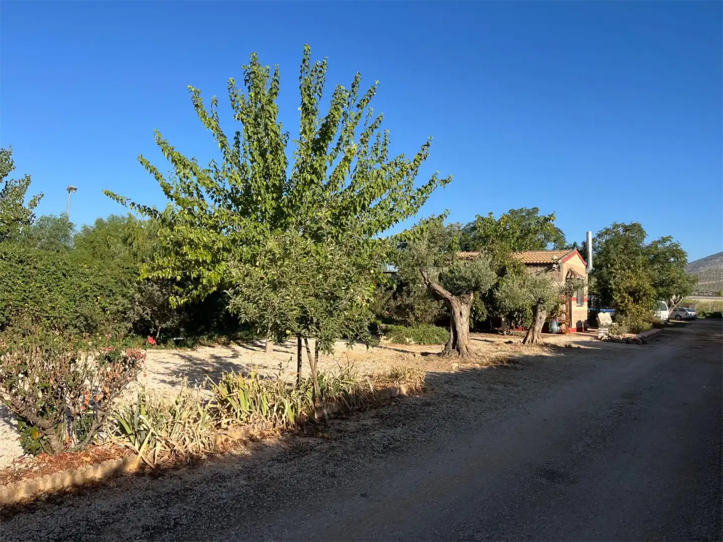Finca rústica en venta en Calle Alfredo Nobel, 31, Huétor Tájar Finca rústica en venta en Huétor Tájar con Jardín privado, Terraza y Piscina