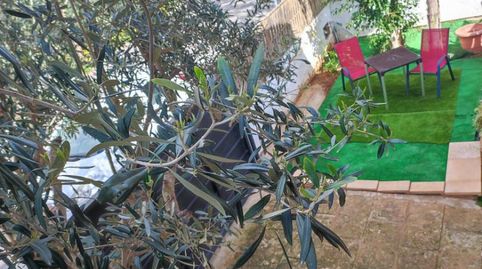 Foto 2 de Planta baixa de lloguer a Carrer Font Obrador, 29, Badia Blava - Badia Gran - Tolleric, Llucmajor