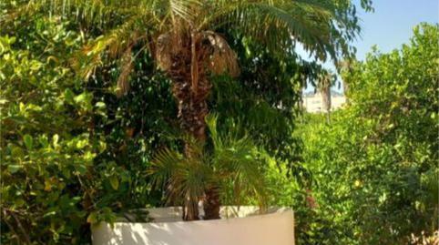 Foto 3 de Piso en venta en Camino de Monteazahar, 63, Beniaján,  Murcia Capital