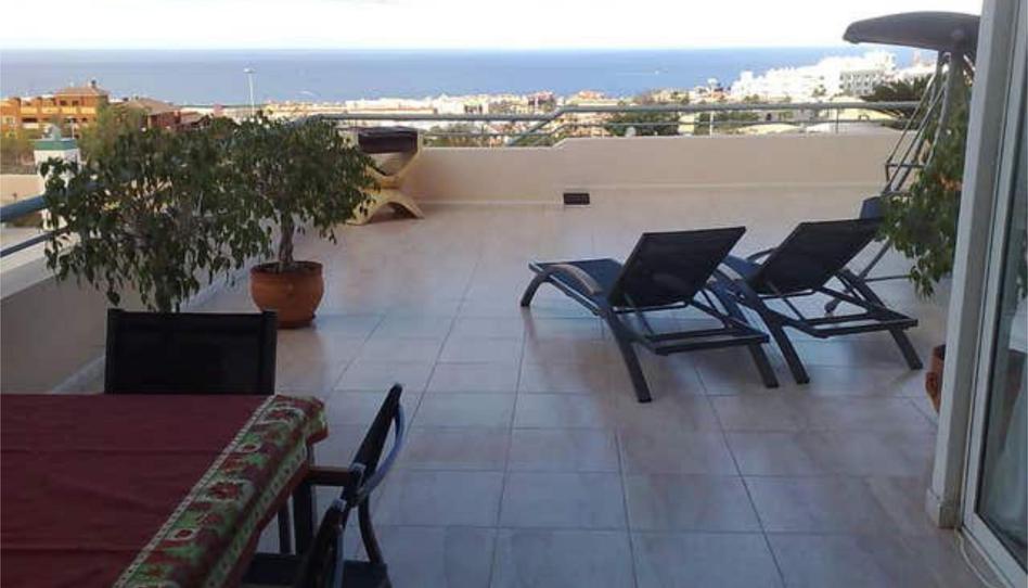 Apartments for rent in Playa Fañabé Alto, Adeje - image 1 Photo 1 of Apartments for rent in Playa Fañabé Alto, Adeje