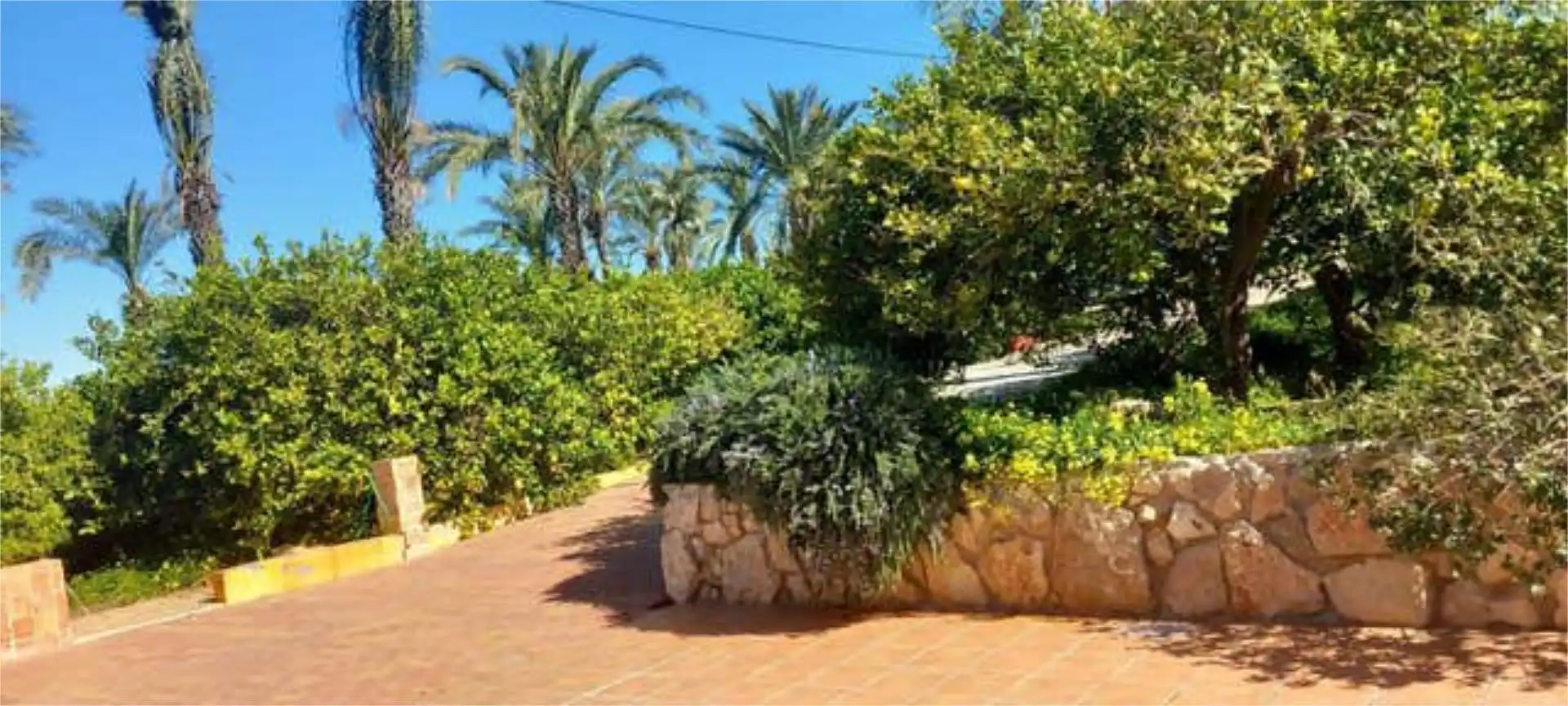 Jardín de Casa o chalet en venta en  Murcia Capital con Terraza