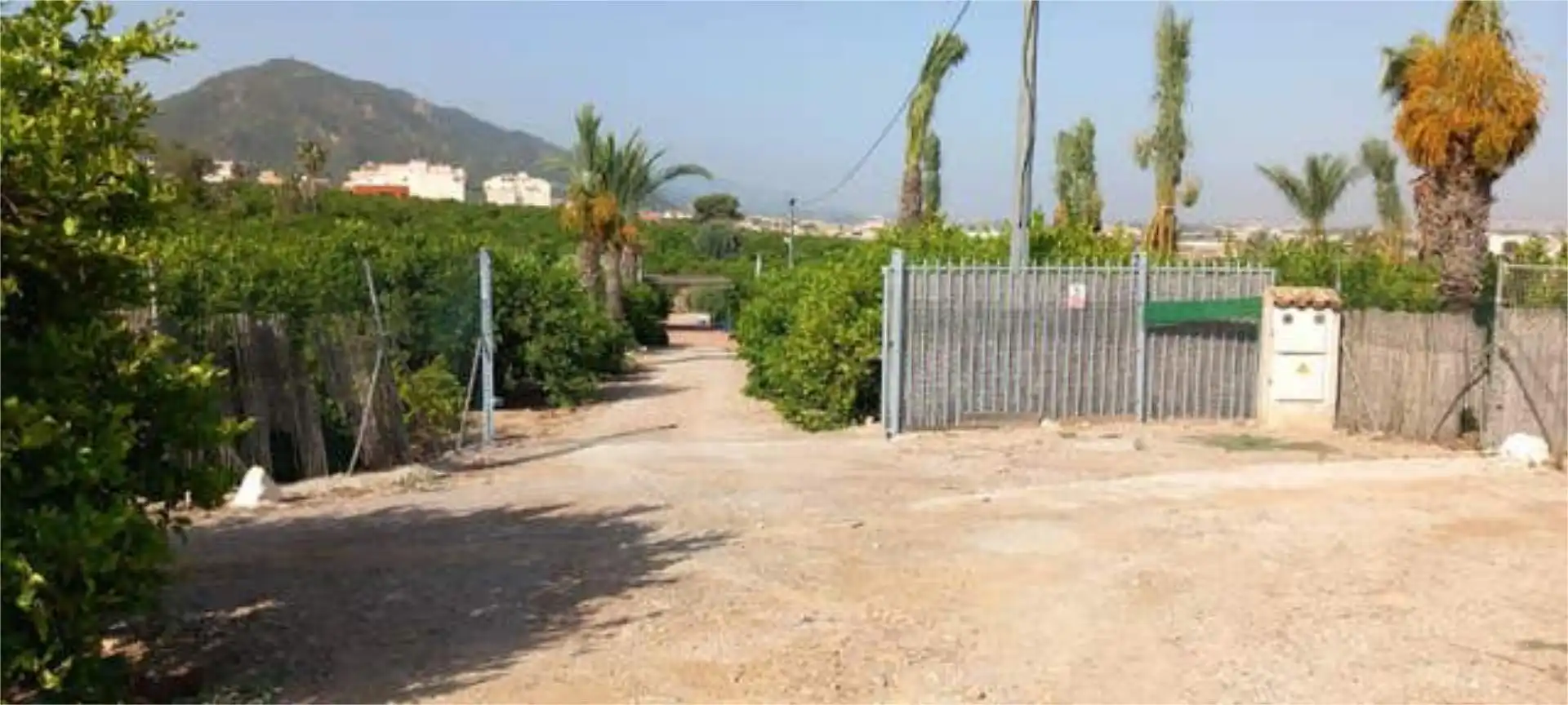 Casa o chalet en venta en  Murcia Capital con Terraza