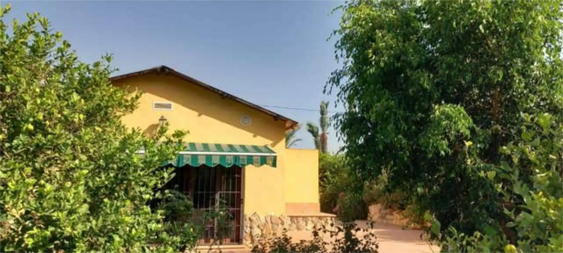 Vista exterior de Casa o chalet en venta en  Murcia Capital con Terraza