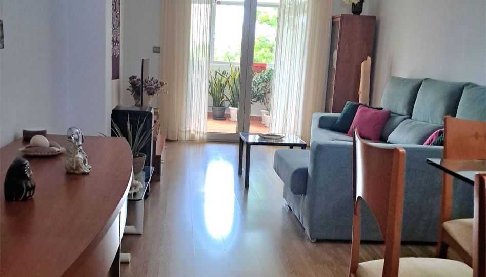 Piso en venta en Calle Pérez Galdós, 52, Pilar de la Horadada ciudad, Pilar de la Horadada - imagen 1 Foto 1 de Piso en venta en Calle Pérez Galdós, 52, Pilar de la Horadada ciudad, Pilar de la Horadada