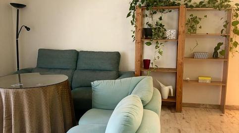 Foto 2 de Pis per a compartir a Avenida José Laguillo, 25, San Carlos - San José,  Sevilla Capital