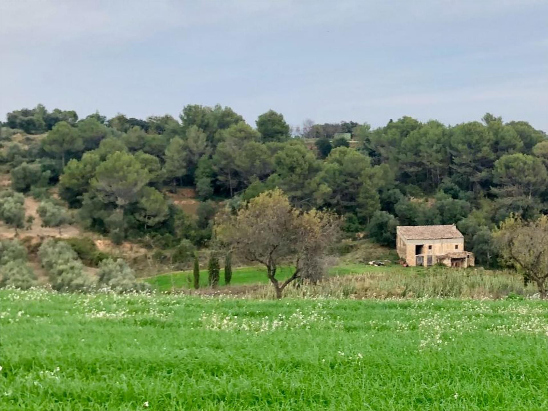 Finca rústica en venda en Lladó amb Jardí privat