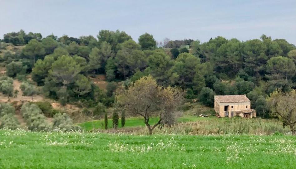 Finca rústica en venda a Vial Camino, 10, Lladó, Girona - imatge 1 Foto 1 de Finca rústica en venda a Vial Camino, 10, Lladó, Girona