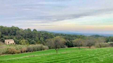Finca rústica en venda a Vial Camino, 10, Lladó, Girona - imatge 3 Foto 3 de Finca rústica en venda a Vial Camino, 10, Lladó, Girona