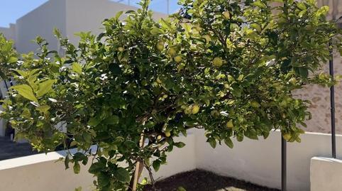 Photo 2 of Planta baja for rent in Carrer de Can Socies, 6, Establiments,  Palma de Mallorca