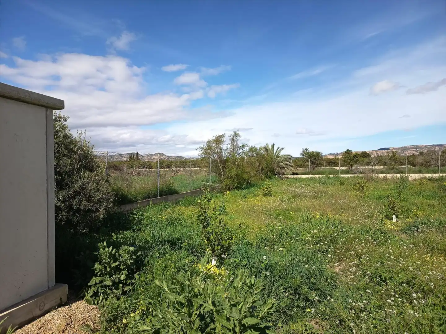 Land for sale in Librilla