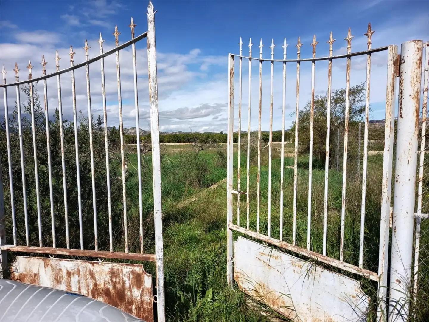 Land for sale in Librilla