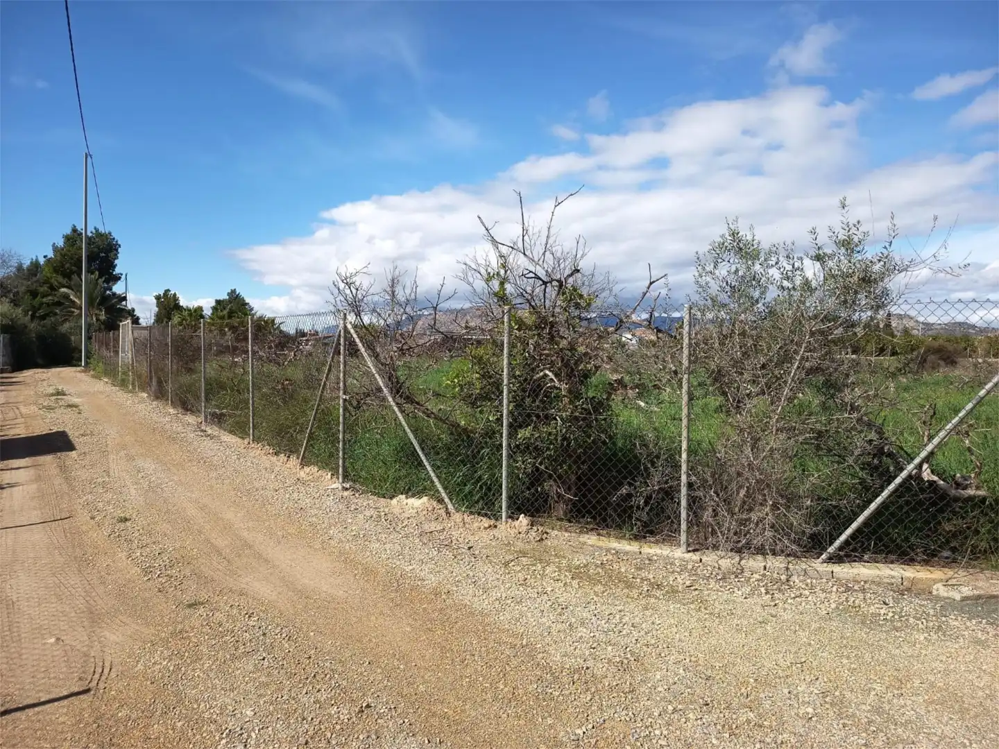 Land for sale in Librilla
