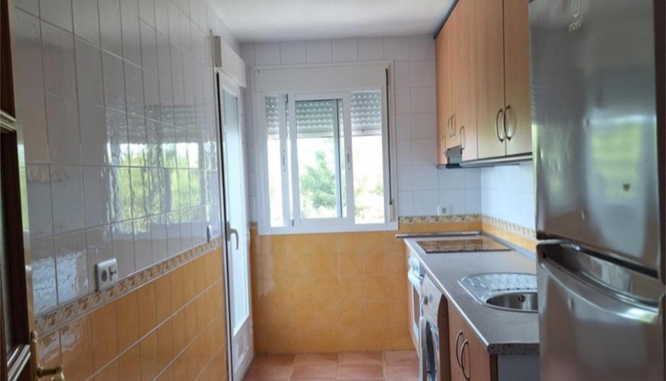 Pis de lloguer a Avenida de Los Reyes Católicos, 9, Nuevo Hospital, Ciudad Real Capital - imatge 1 Foto 1 de Pis de lloguer a Avenida de Los Reyes Católicos, 9, Nuevo Hospital, Ciudad Real Capital