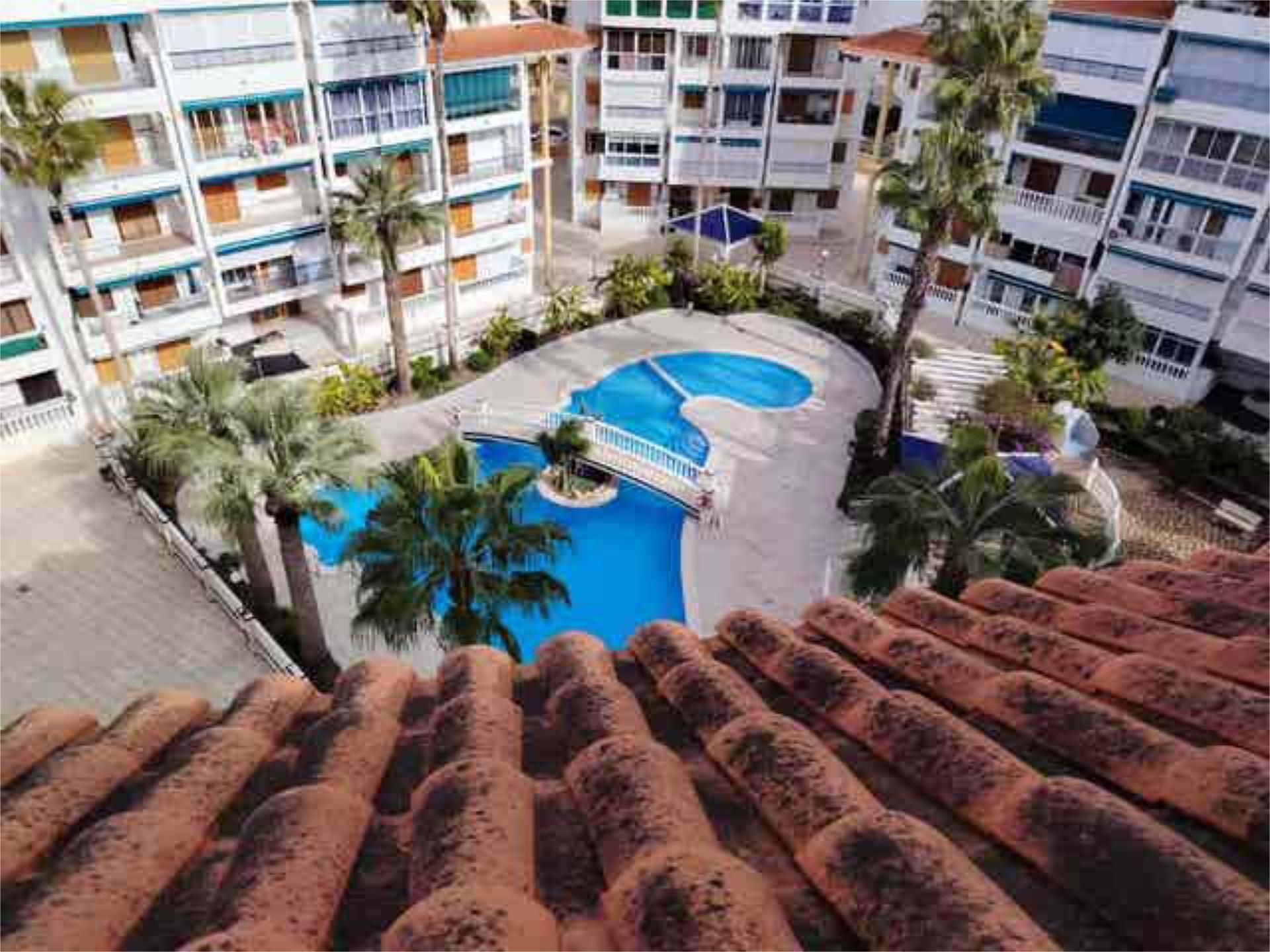 Vista exterior de Apartament de lloguer en Torrevieja amb Calefacció, Jardí privat i Terrassa