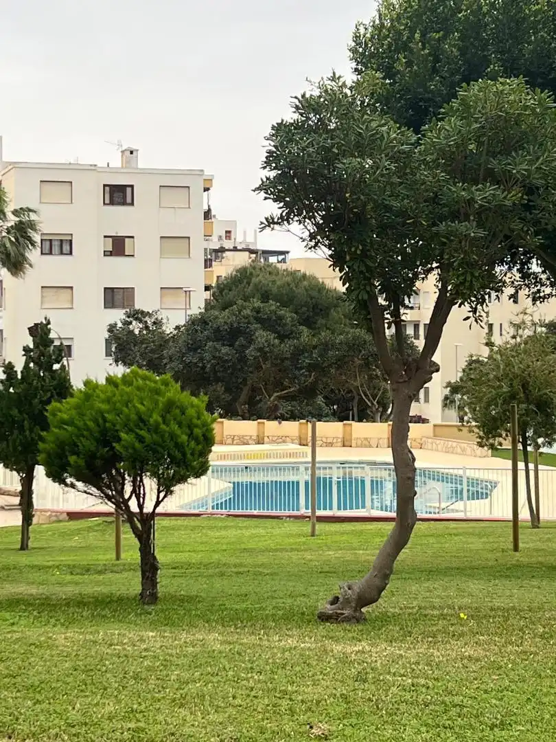 Wohnungen zum Verkauf in Calle Eucalipto, 5, El Puerto Schwimmbecken von Wohnungen zum Verkauf in Roquetas de Mar mit Terrasse und Balkon