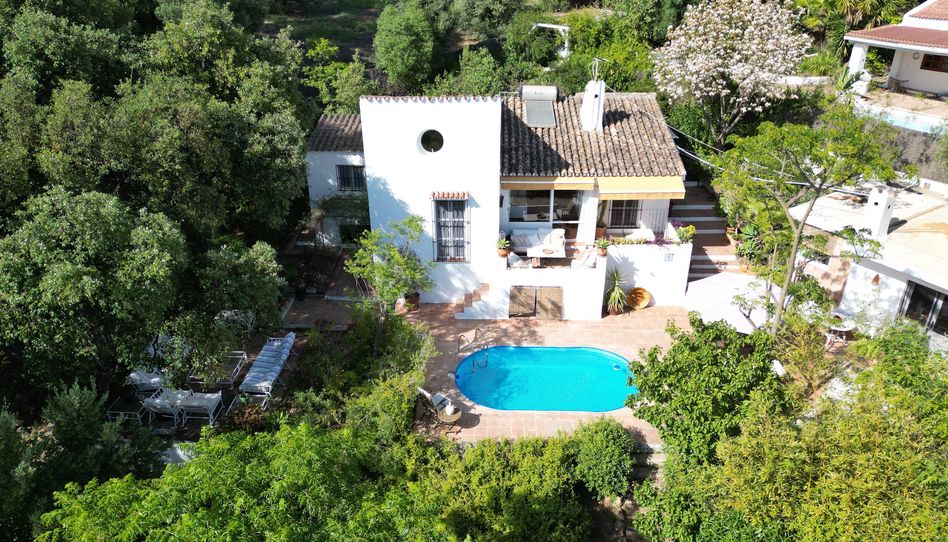 Casa o chalet de alquiler en Calle de la Palmera, 6, Las Lomas, Estepona - imagen 1 Foto 1 de Casa o chalet de alquiler en Calle de la Palmera, 6, Las Lomas, Estepona