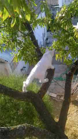 Casa-chalet en Alquiler en Alcalá la Real