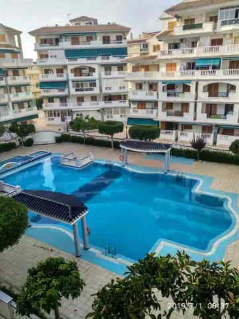 Apartamento en venta en Los Europeos Piscina de Apartamento en venta en Torrevieja con Terraza y Piscina