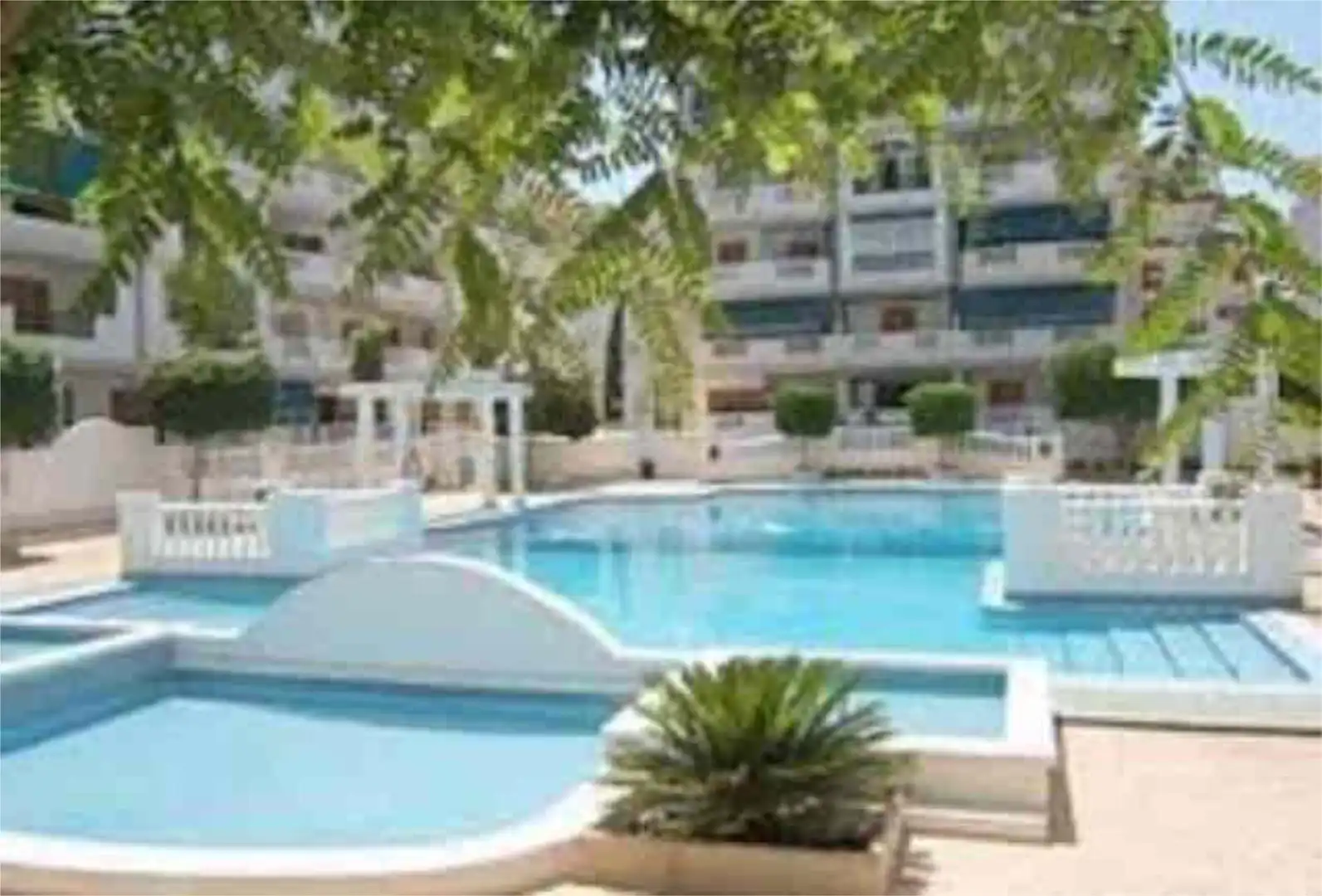 Apartamento en venta en Los Europeos Piscina de Apartamento en venta en Torrevieja con Terraza y Piscina