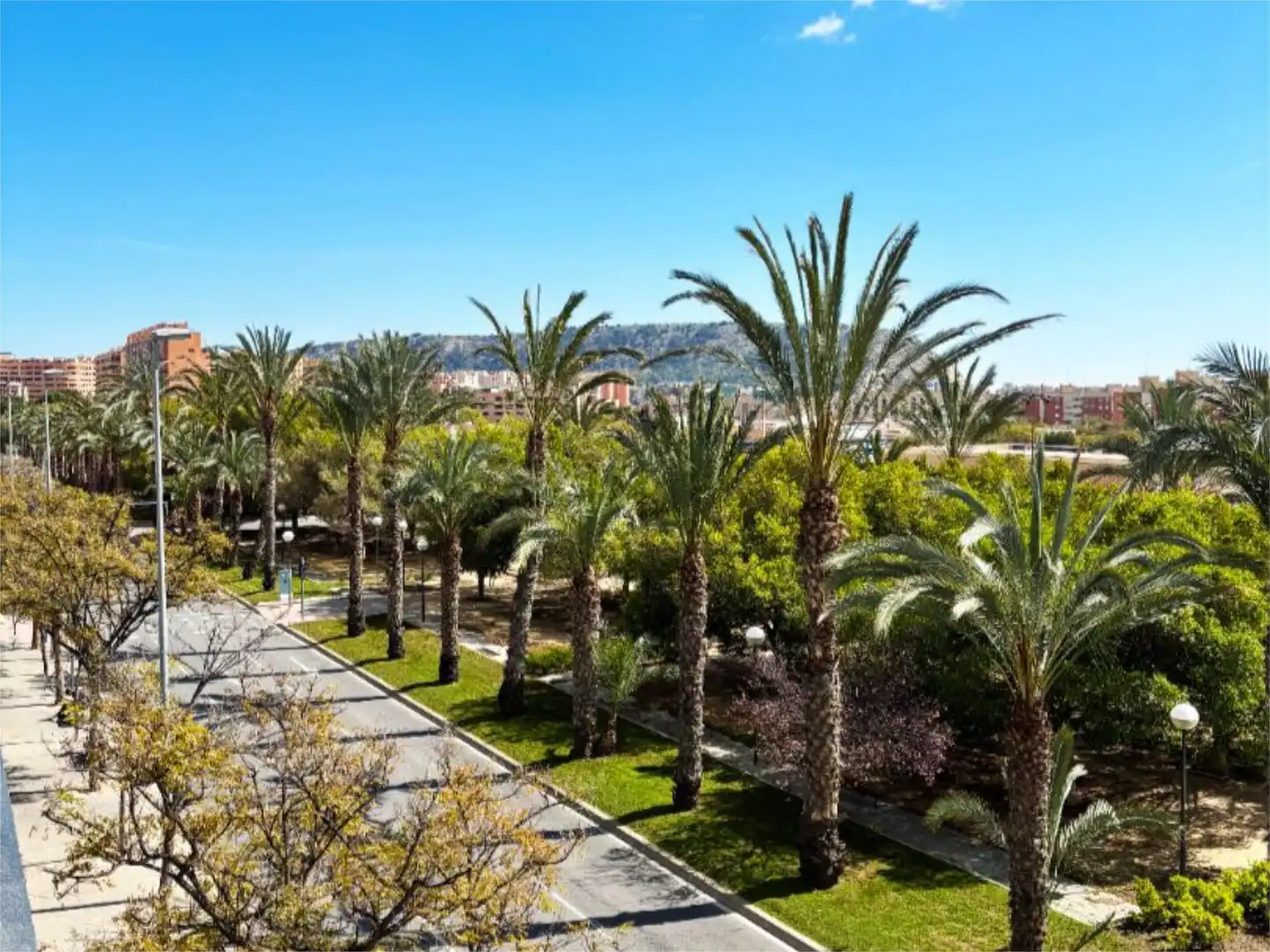 Pis en venda a Calle Granja de Rocamora, 4, Garbinet - Parque de las Avenidas Vista exterior de Pis en venda en Alicante / Alacant amb Aire condicionat, Calefacció i Jardí privat