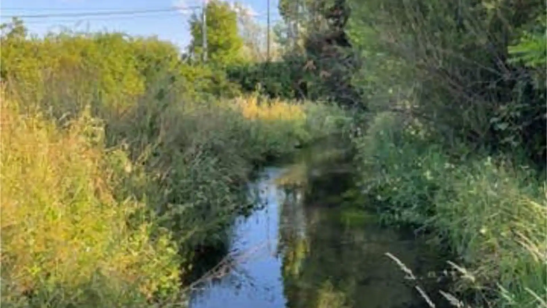 Casa o chalet en venta en Santa Colomba de Curueño Vista exterior de Casa o chalet en venta en Santa Colomba de Curueño