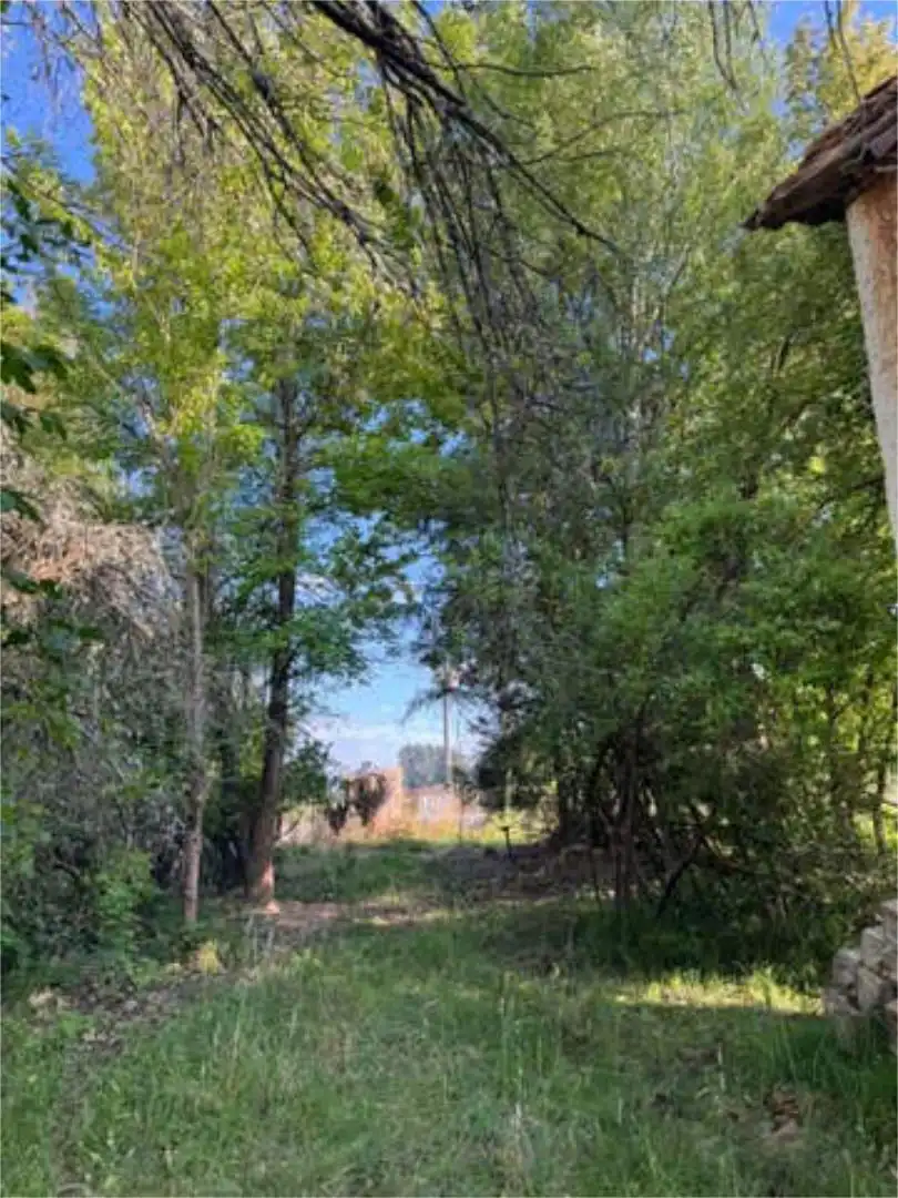 Casa o chalet en venta en Santa Colomba de Curueño