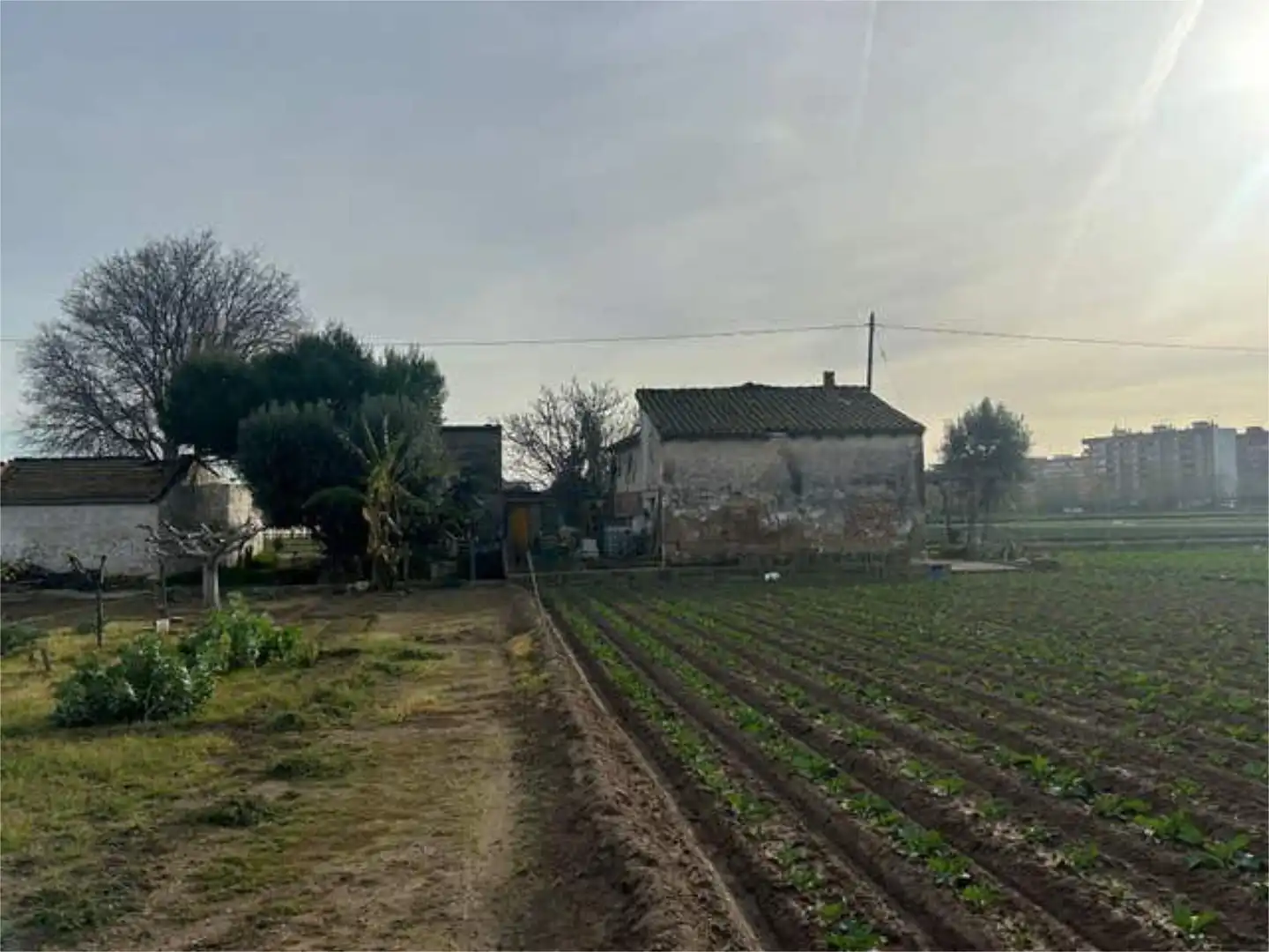 Detached homes for sale in Alboraya